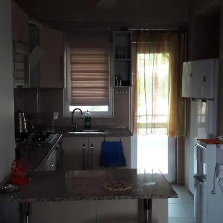 Buyukdemir Viila * Side
